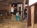 2019_08_07-Animal-hope-e.V.-Illingen-40