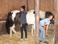 2019_08_07-Animal-hope-e.V.-Illingen-45