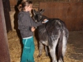 2019_08_07-Animal-hope-e.V.-Illingen-50