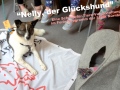 2019_08_14-Nürnberg-Nelly-der-Glückshund-01