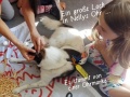 2019_08_14-Nürnberg-Nelly-der-Glückshund-17