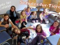 2019_08_14-Nürnberg-Nelly-der-Glückshund-23