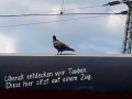 2019_09_04-Nürnberg-Taubenaktion-25