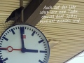 2019_09_04-Nürnberg-Taubenaktion-26