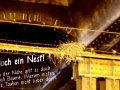 2019_09_04-Nürnberg-Taubenaktion-29