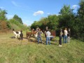 2019_09_17-Lamas-Alpakas-besuchen-08