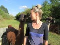 2019_09_17-Lamas-Alpakas-besuchen-09