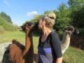 2019_09_17-Lamas-Alpakas-besuchen-10