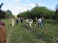 2019_09_17-Lamas-Alpakas-besuchen-21