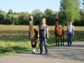 2019_09_17-Lamas-Alpakas-besuchen-46