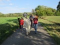 2019_09_17-Lamas-Alpakas-besuchen-52
