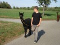 2019_09_17-Lamas-Alpakas-besuchen-54