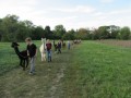 2019_09_17-Lamas-Alpakas-besuchen-58
