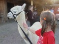 2019_09_17-Lamas-Alpakas-besuchen-60