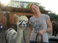 2019_09_17-Lamas-Alpakas-besuchen-61