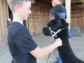 2019_09_17-Lamas-Alpakas-besuchen-63