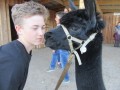 2019_09_17-Lamas-Alpakas-besuchen-64