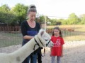 2019_09_17-Lamas-Alpakas-besuchen-65