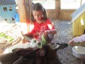 2019_09_17-Lamas-Alpakas-besuchen-70