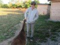 2019_09_17-Lamas-Alpakas-besuchen-72