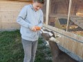 2019_09_17-Lamas-Alpakas-besuchen-73