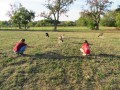 2019_09_17-Lamas-Alpakas-besuchen-74