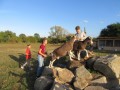 2019_09_17-Lamas-Alpakas-besuchen-75