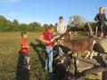 2019_09_17-Lamas-Alpakas-besuchen-76