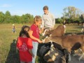 2019_09_17-Lamas-Alpakas-besuchen-77