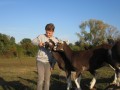 2019_09_17-Lamas-Alpakas-besuchen-80