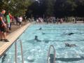 2019_09_22-Alsfeld-Gießen-Hundeschwimmen-04