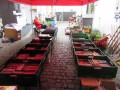 2019_10_20-Flohmarkt-18