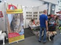 2019_11_09-TIERisch-gut-Karlsruhe-17