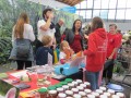 2019_11_09-TIERisch-gut-Karlsruhe-42