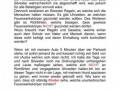 Silvester-9