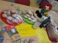 2020_02_26-FFM-3-Karneval-vegan-Kreppel-03