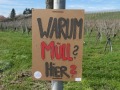 2020_03_07-Müllaktion-SWR-43