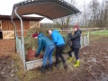2020_03_10-Bellheim-Nistkästen-aufhängen-16