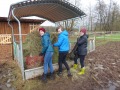 2020_03_10-Bellheim-Nistkästen-aufhängen-17