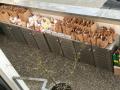 2020_03_29-Obdachlose-Notfall-16