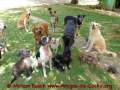 2020_04_07-Spende-500€-Amigos-de-Lucky-02