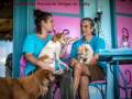 2020_04_07-Spende-500€-Amigos-de-Lucky-03