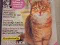 2020_04_19-Alsfeld-Artikel-Geliebte-Katze-02