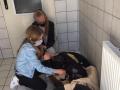 2020_06_30-Antriftal-Gassi-mit-Rolli-Hunden-05