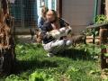2020_06_30-Antriftal-Gassi-mit-Rolli-Hunden-07