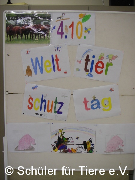 2020_10_03-Welttierschutztag-1