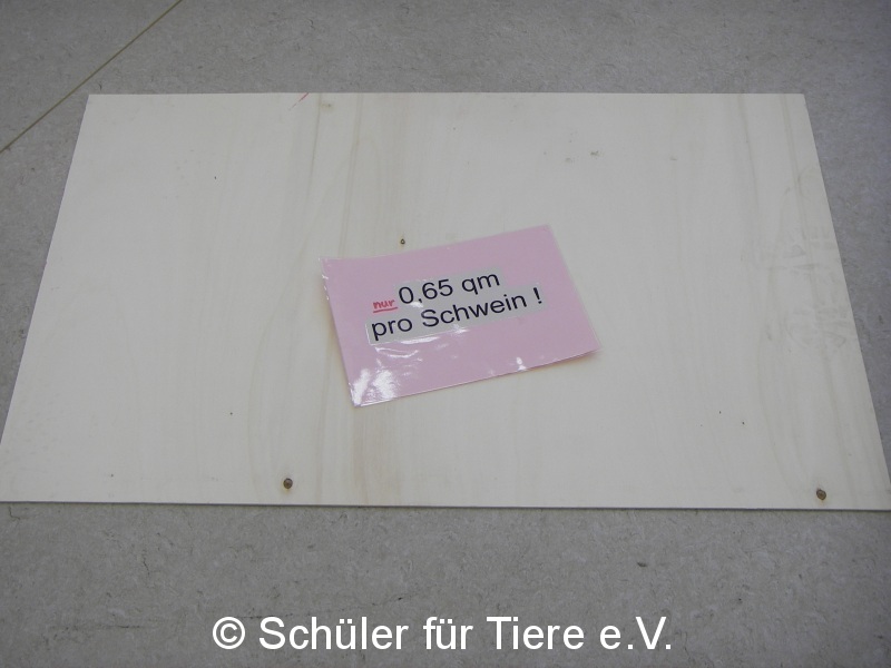 2020_10_03-Welttierschutztag-4