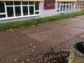 2020_10_11-Erfurt-Muellaktion-Schule-07