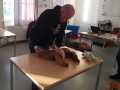 2020_11_21-Erste-Hilfe-Kurs-Hund-6