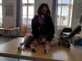2020_11_21-Erste-Hilfe-Kurs-Hund-8